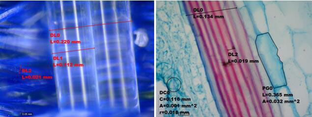 AM4515T8-img2.jpg AM4515T8-img2.jpg